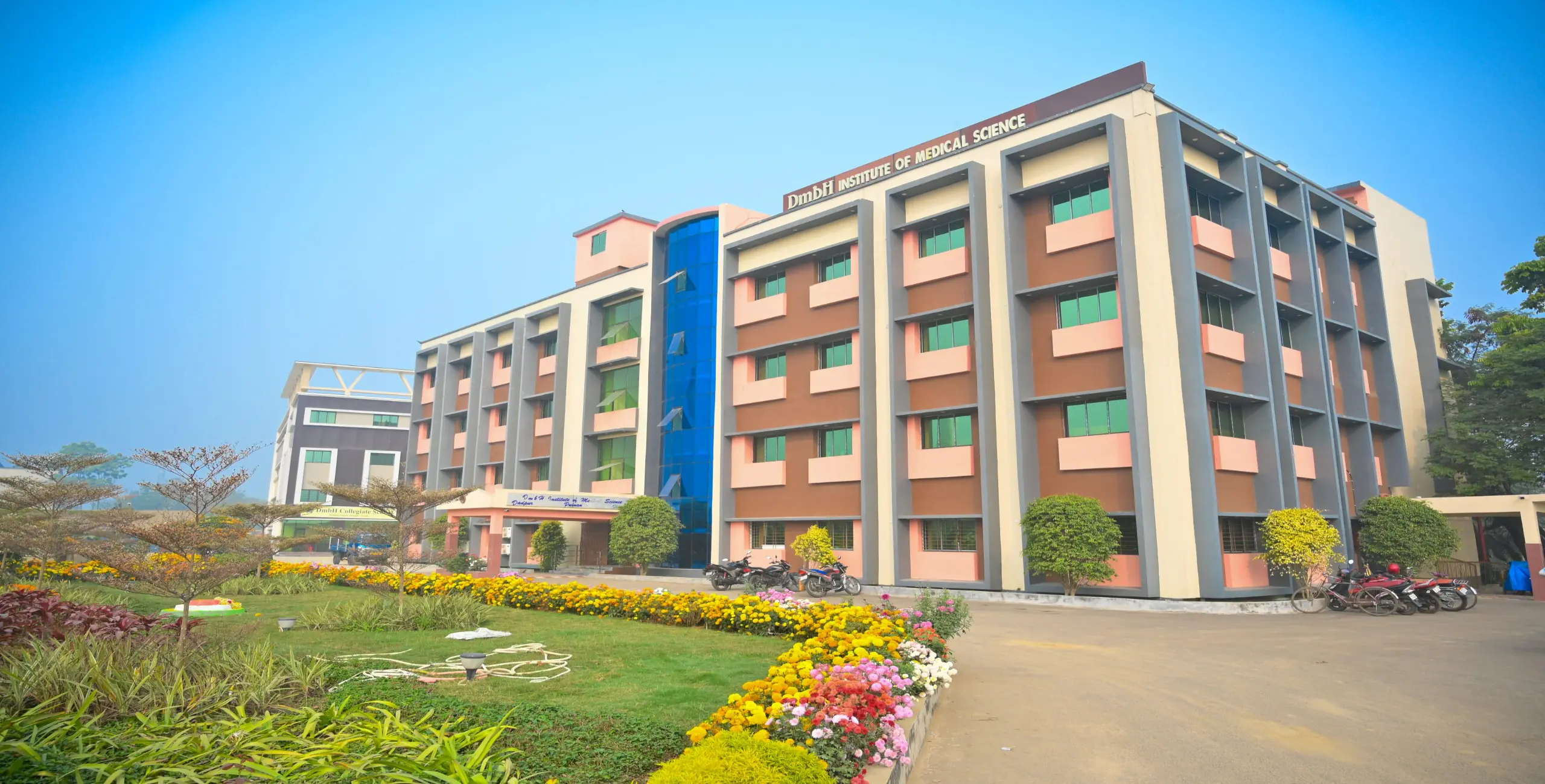 DmbH Institute of Medical Sciences